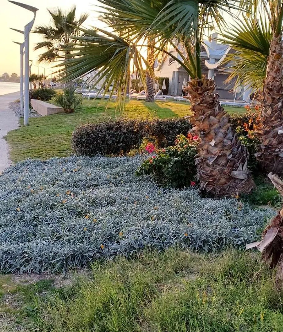 Magic Maisonette 250M From The Beach Λάρνακα